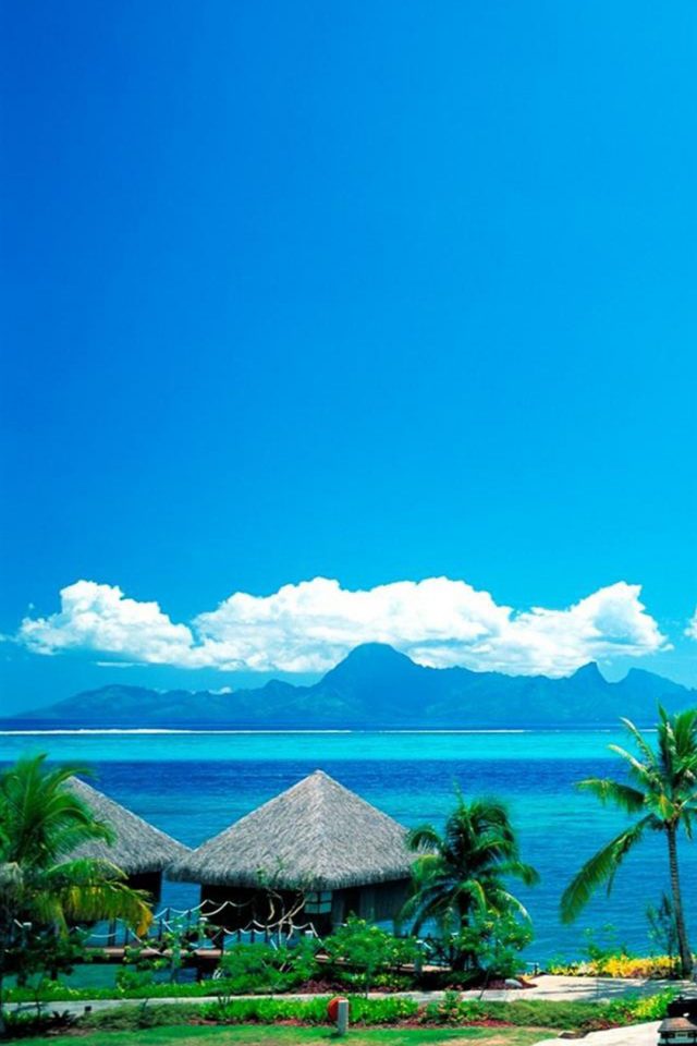 Beach Tropical Android wallpaper