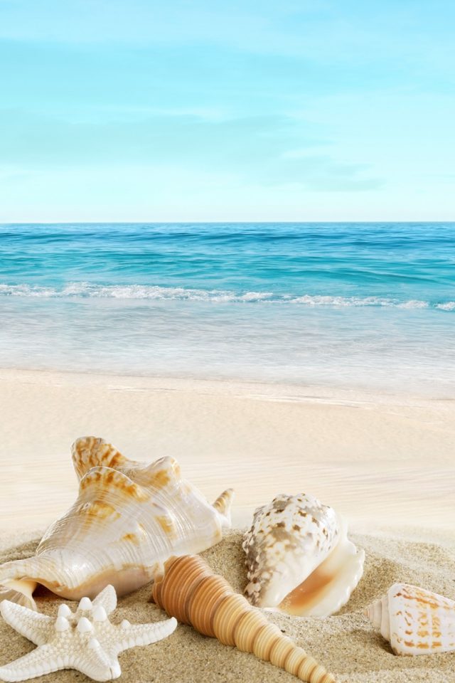 Landscape with shells on tropical beach Android wallpaper