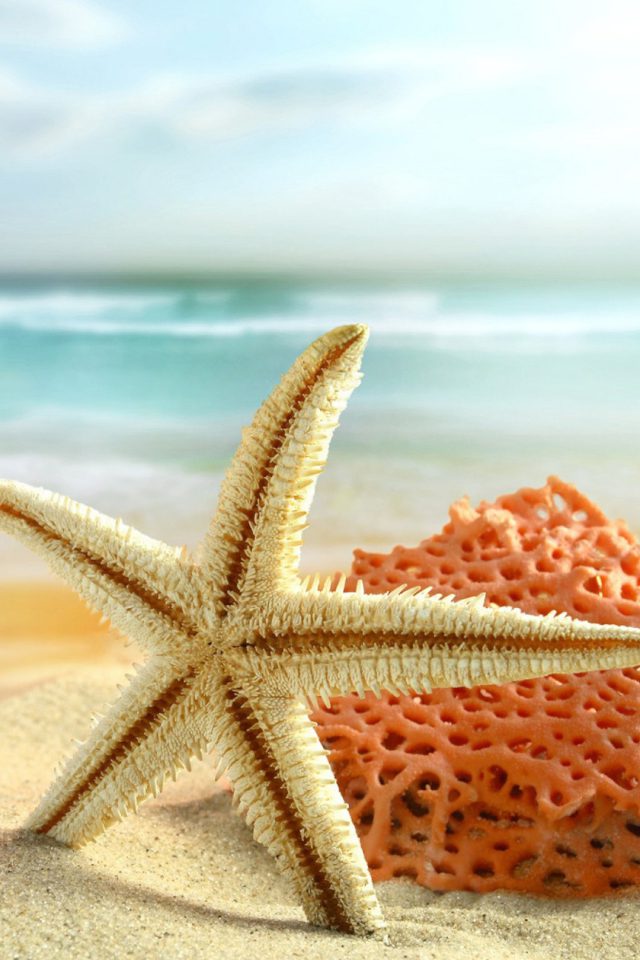 Starfish beach toys Android wallpaper