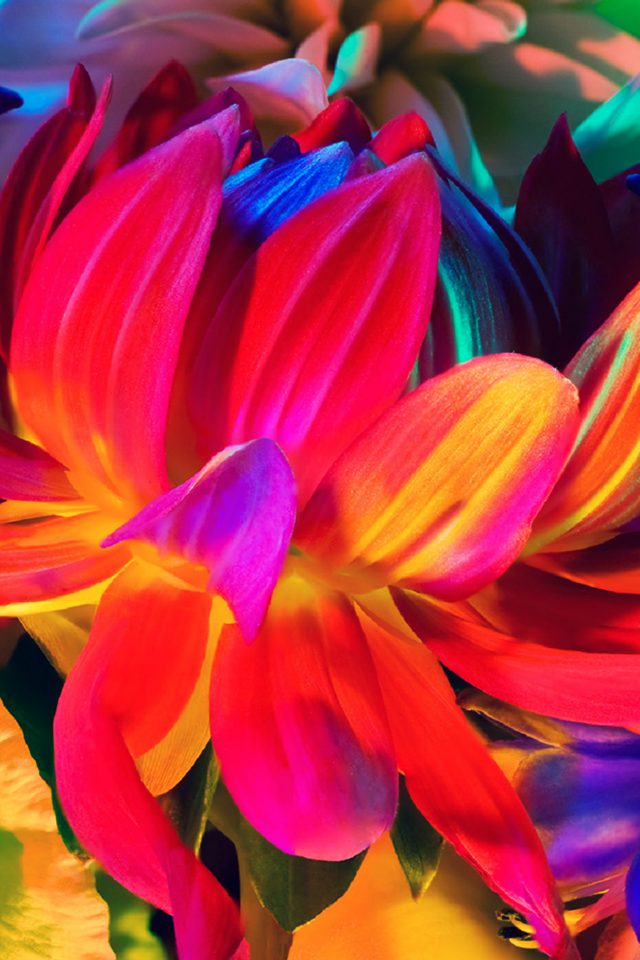 Apple MacBook Flower Rainbow Color Illustration Art Nature Android wallpaper