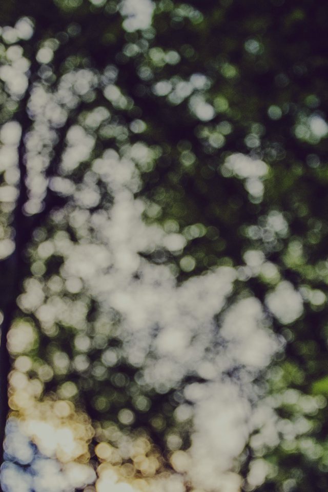 Bokeh Forest Tree Sky Nature Android wallpaper