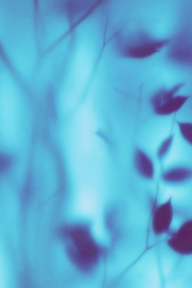 Bokeh Window Leaf Blue Pattern Android wallpaper