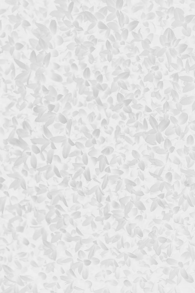 Nature White Leaf Grass Garden Flower Pattern Android wallpaper