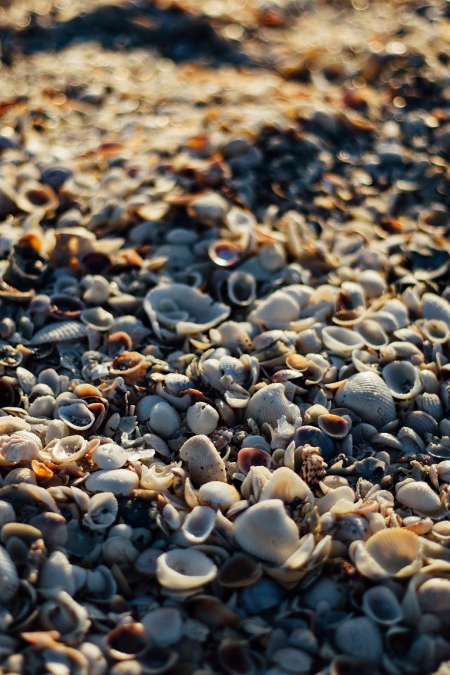Beach Sand Rock Nature Pattern Android wallpaper