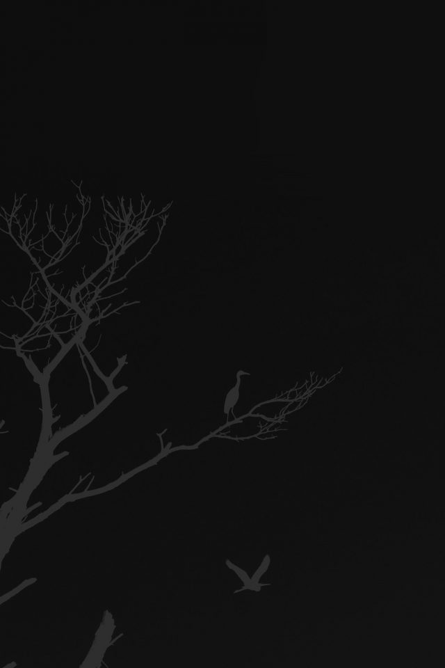 Bird Sunset Tree Dark Nature Minimal Android wallpaper