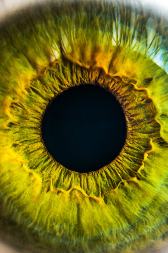 Eye Human Nature Pupil Body Science Android wallpaper