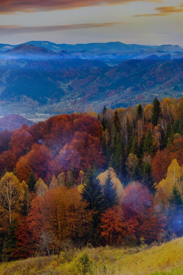 Fall Mountain Fun Red Orange Tree Flare Nature Android wallpaper
