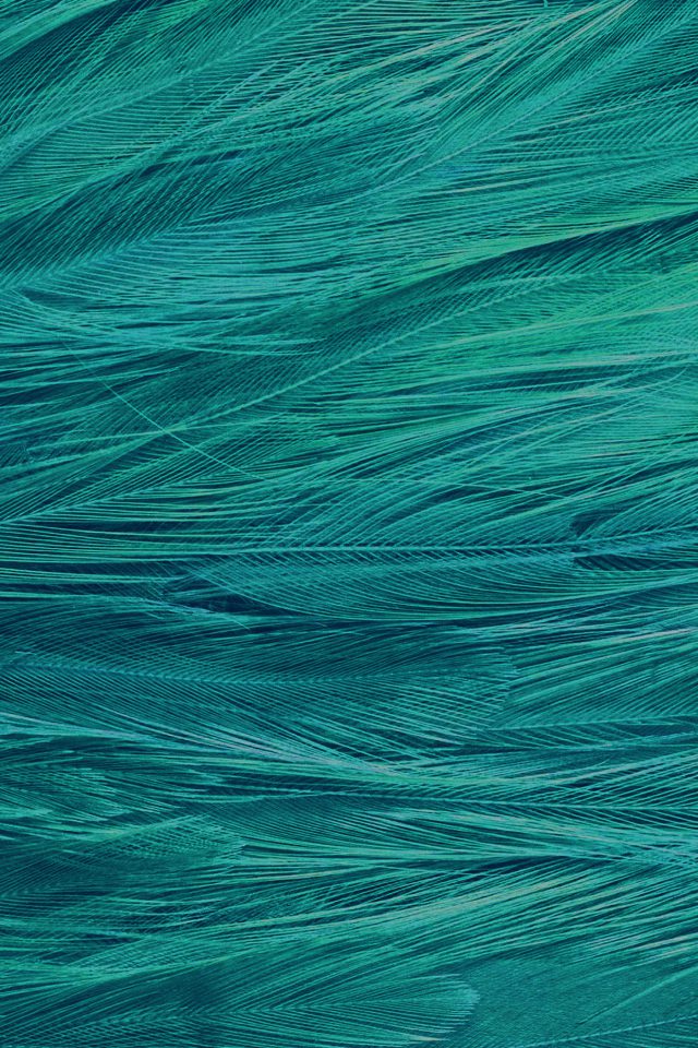 Feather Blue Bird Pattern Android wallpaper