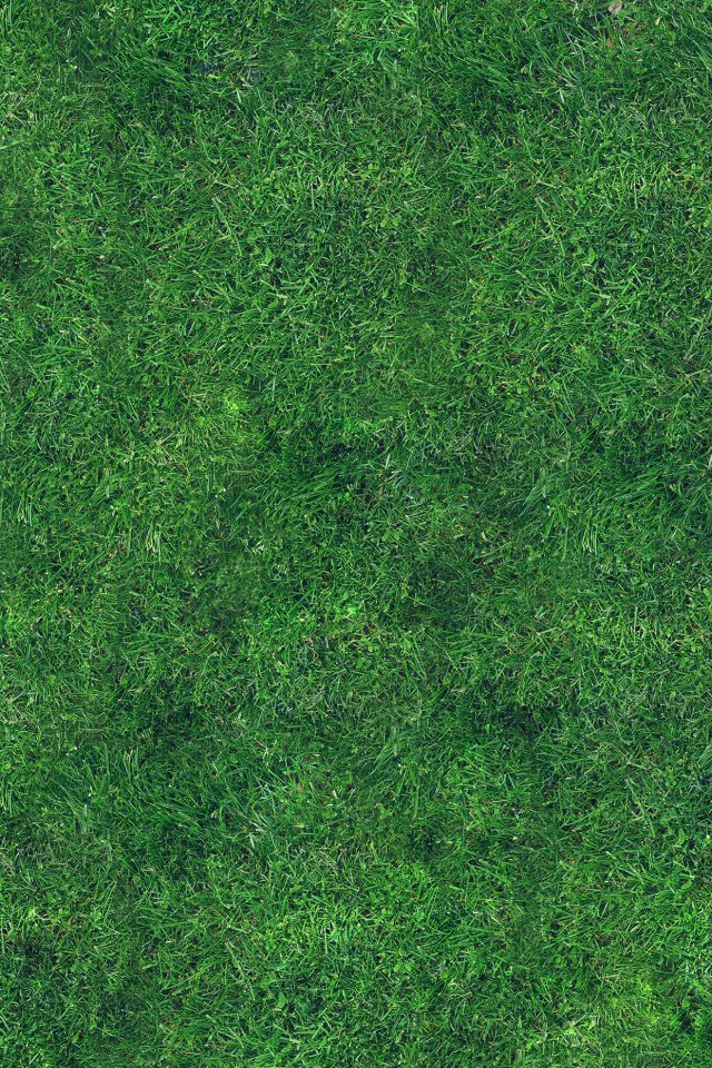 Grass Texture Nature Pattern Android wallpaper