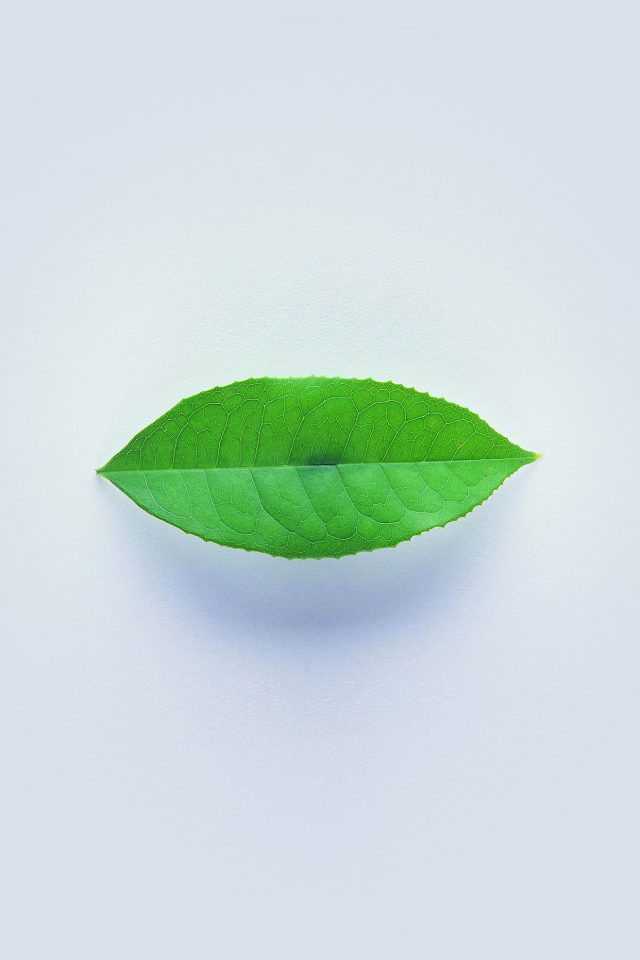 Green Leaf Minimal Nature Art Android wallpaper