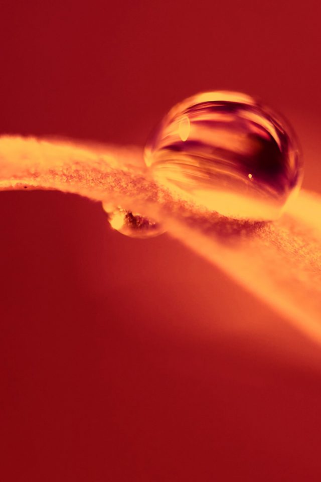 Hot Fire Leaf Red Nature Droplet Android wallpaper