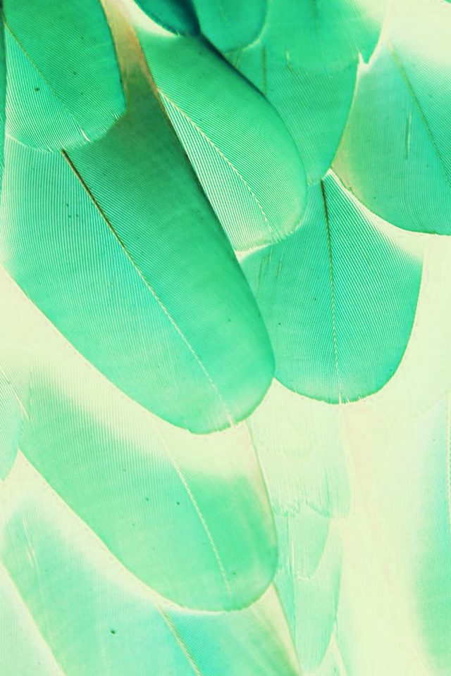 Meizu Feathre Green Blue Nature Texture Animal Pattern Android wallpaper