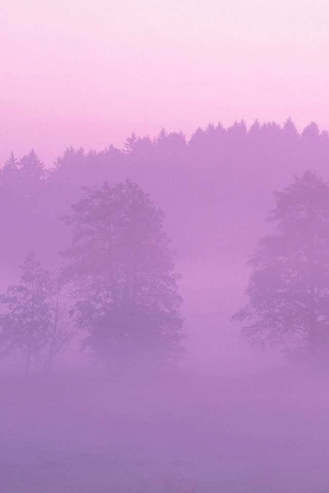 Misty Pink Forest Mountain Nature Android wallpaper
