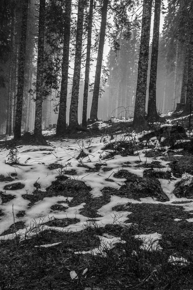 Mountain Snow Woods Nature Dark Bw Android wallpaper