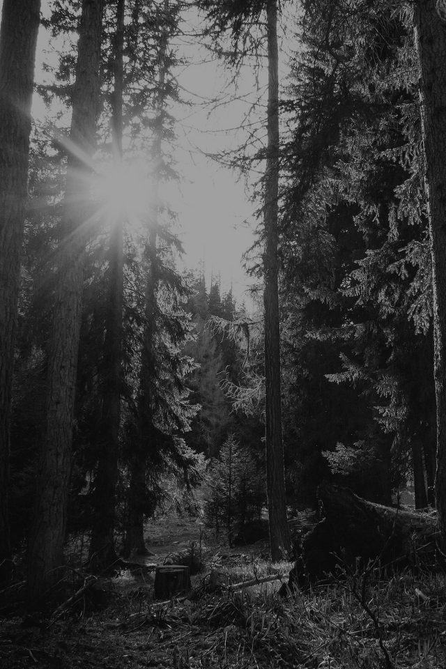 Mountain Sunlight Bw Marco Jorger Nature Android wallpaper