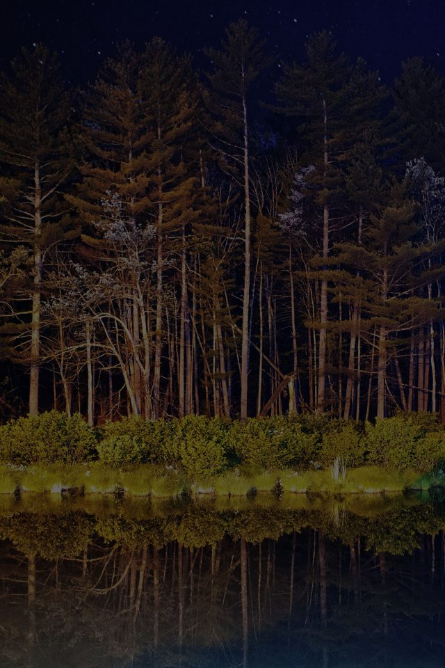 Night Dark Wood With Lake Nature Android wallpaper