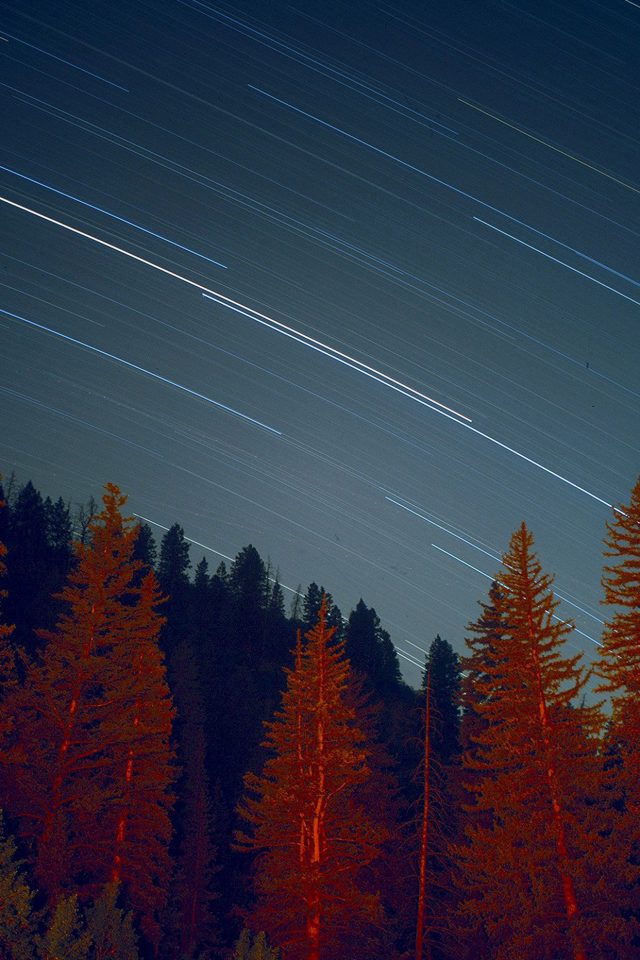 Night Wood Mountain Star Sky Nature Android wallpaper