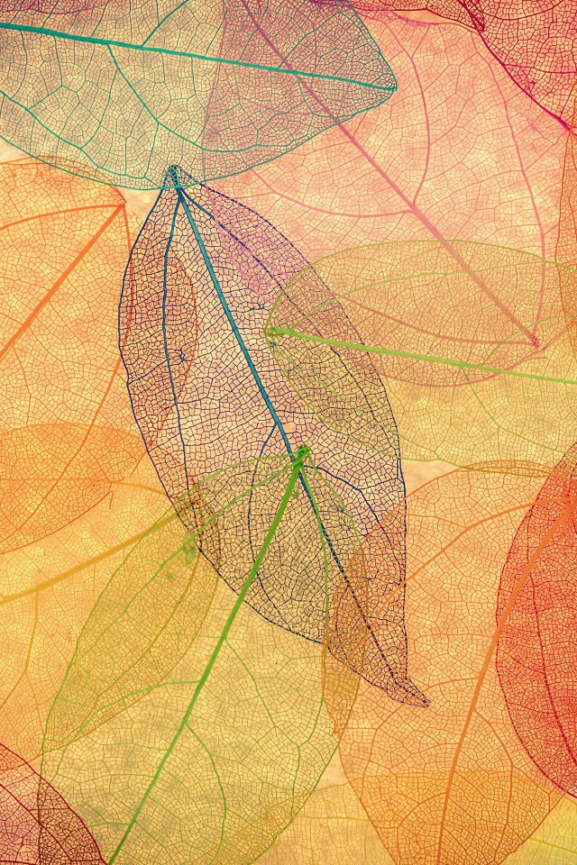 Rainbow Color Leaf Art Fall Nature Pattern Android wallpaper