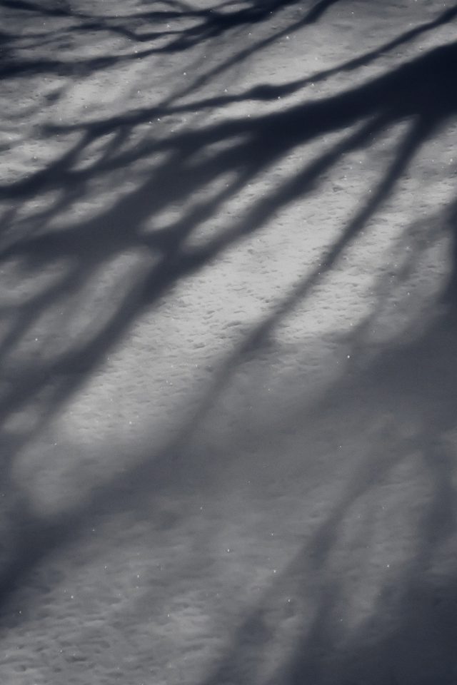 Snow Shadow Winter Tree Nature Android wallpaper
