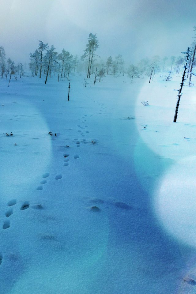 Snow Walk Winter Blue Bokeh Footprints Nature Mountain Android wallpaper