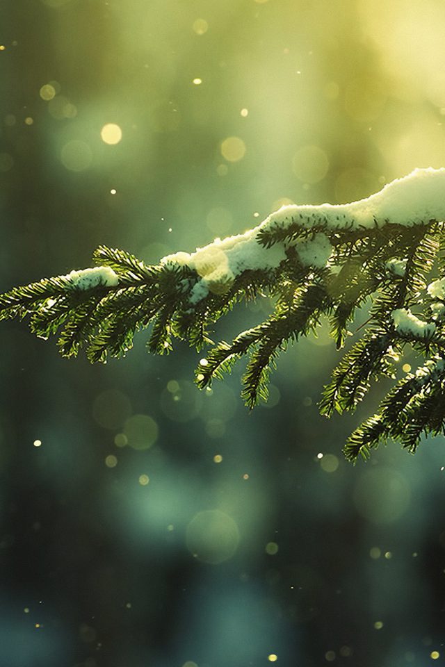 Snowing Tree Winter Nature Mountain Android wallpaper