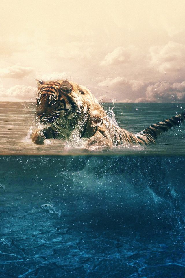Tiger Running Blue Sea Nature Android wallpaper
