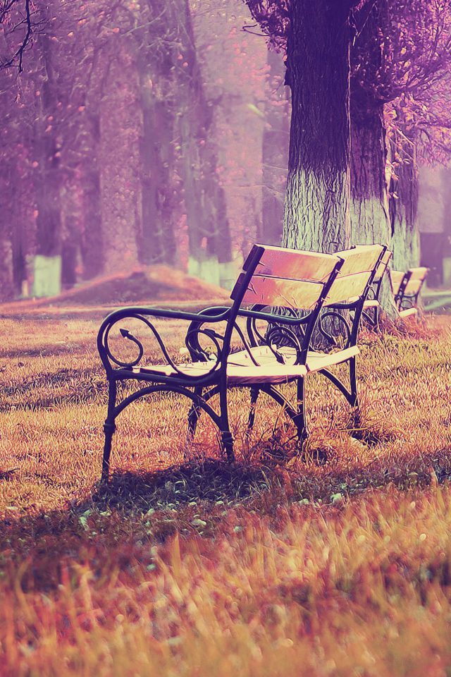 Wallpaper Fall Blue Park Chair Lonely Nature Android wallpaper