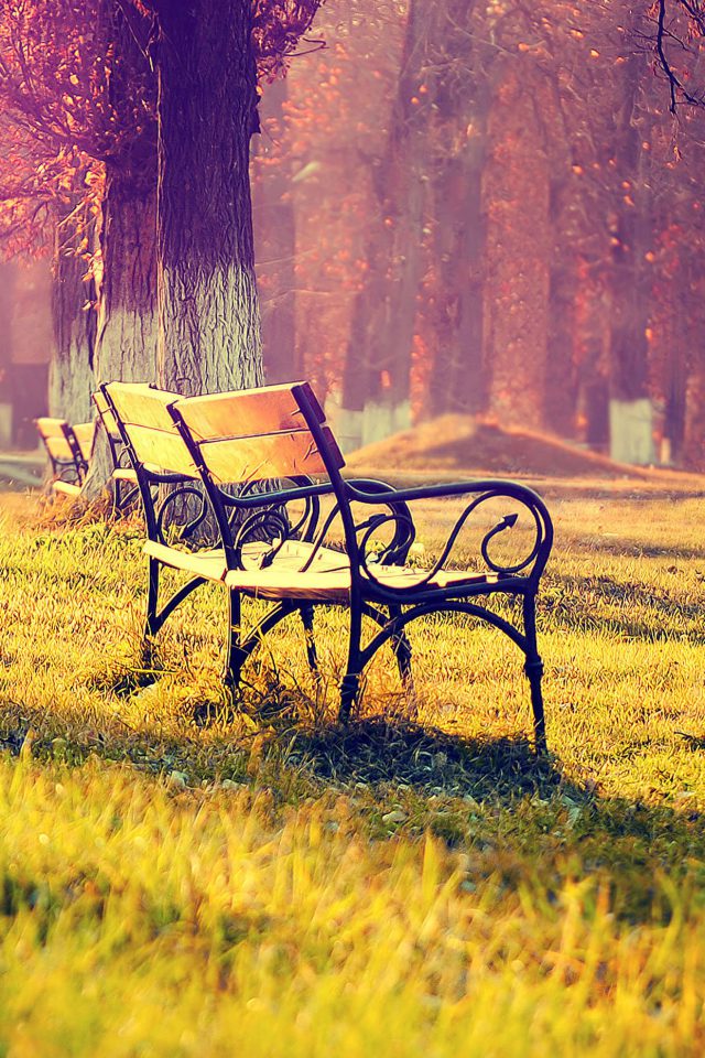 Wallpaper Fall Park Chair Lonely Nature Android wallpaper