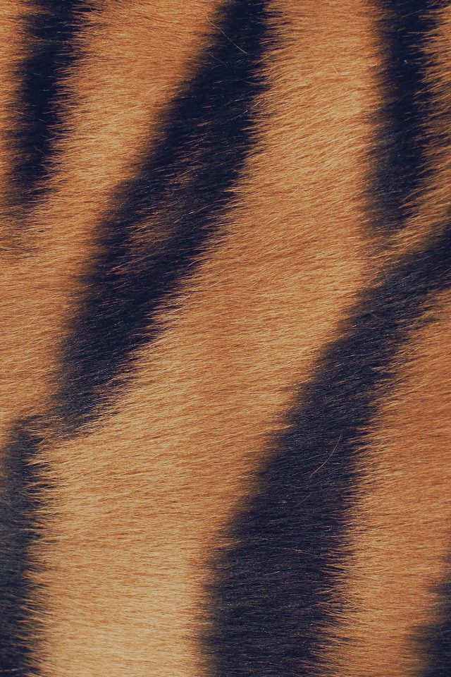 Wild Cat Texture Fur Nature Pattern Android wallpaper
