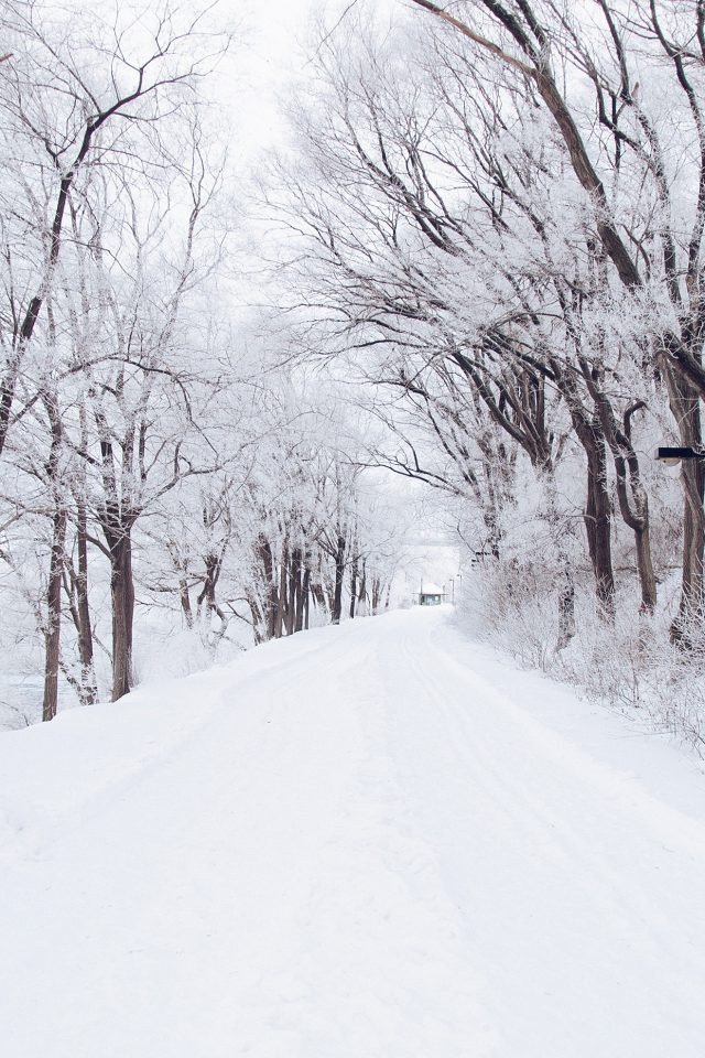 Winter Road Romantic Nature Mountain Snow White Android wallpaper