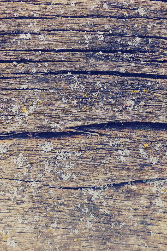 Wood Art Nature Pattern Blue Android wallpaper