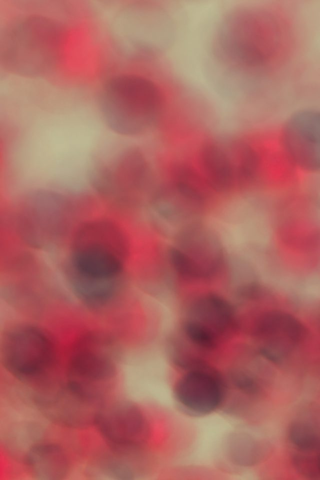 Red Bokeh Grass Pattern Android wallpaper