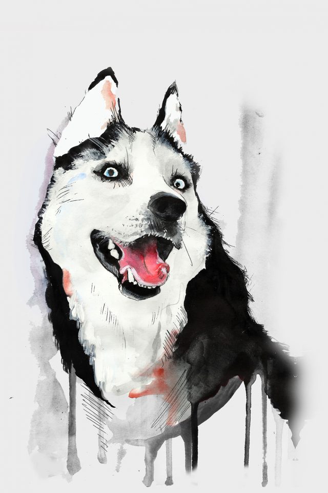 Happy Dog Husky Animal Illust Watercolor Android wallpaper