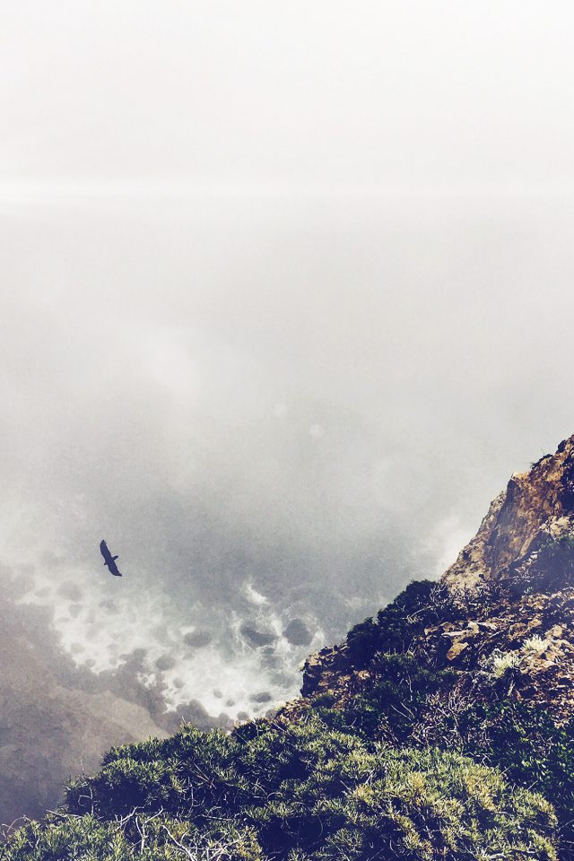 Mountain Bird Cliff Animal Fog Cloud Flare Android wallpaper