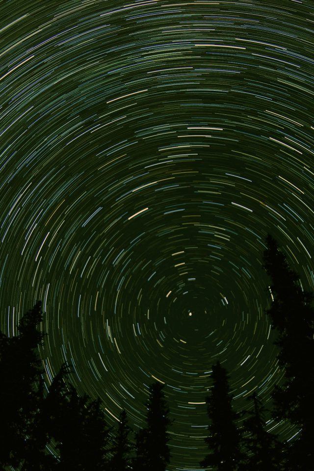 Star Trail Green Tree Space Night Nature Android wallpaper