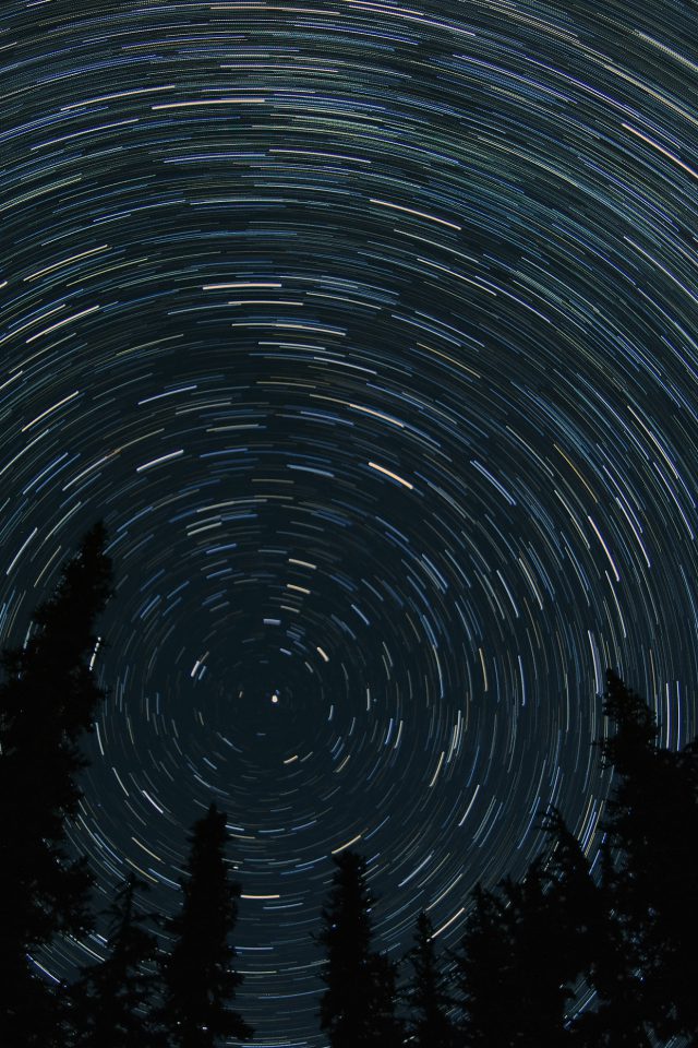 Star Trail Tree Space Night Nature Android wallpaper