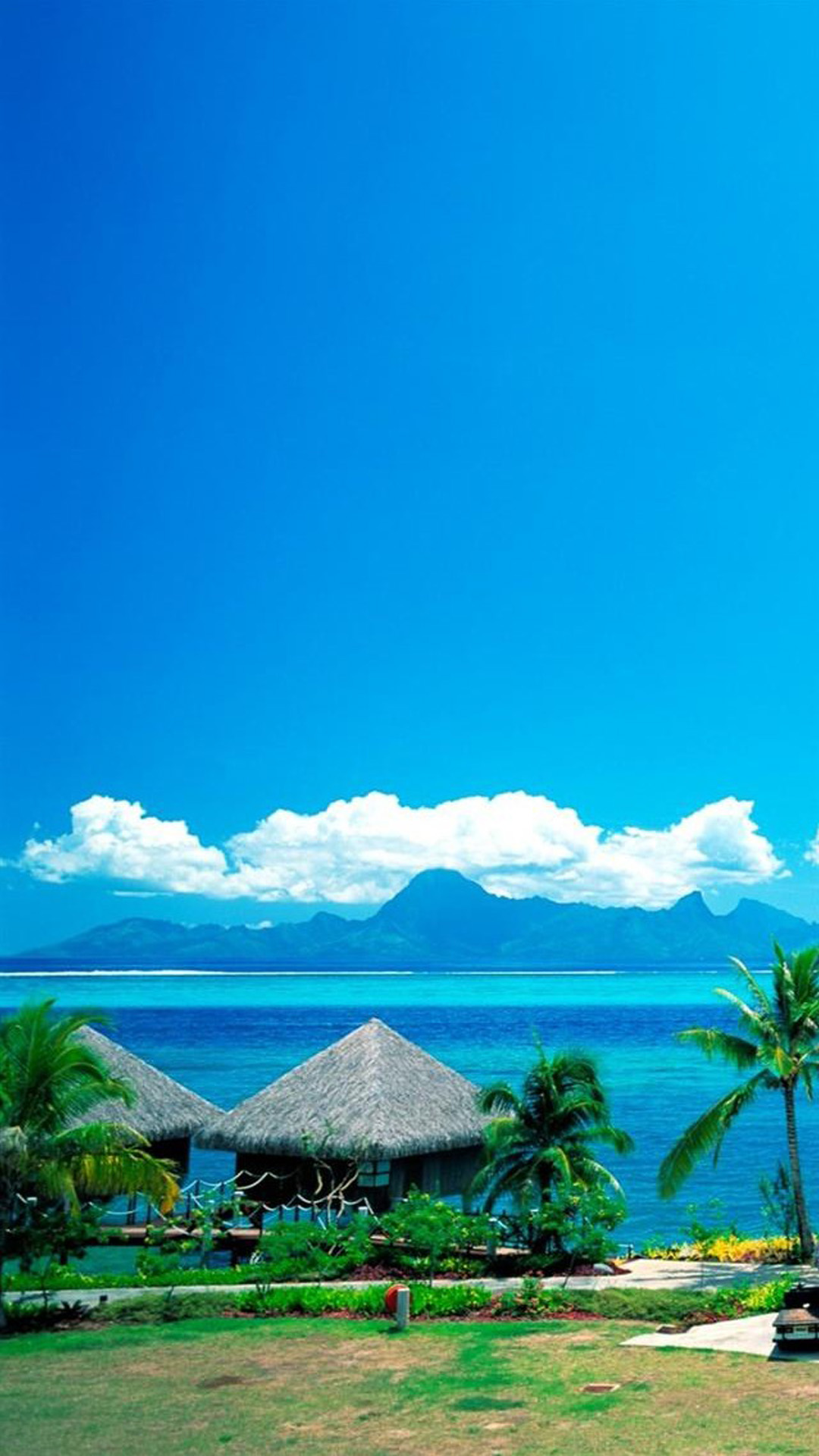 Beach Tropical Android wallpaper