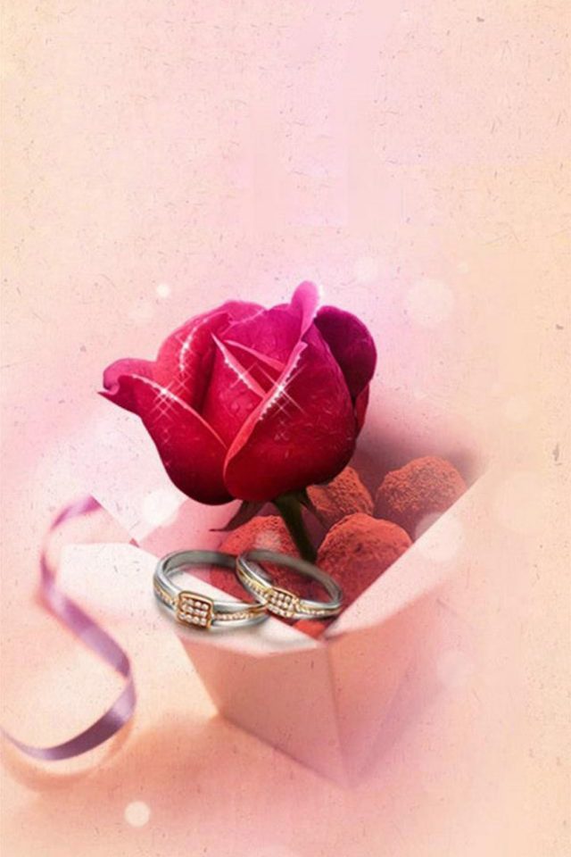 Eternal Love Ring Rose Android wallpaper