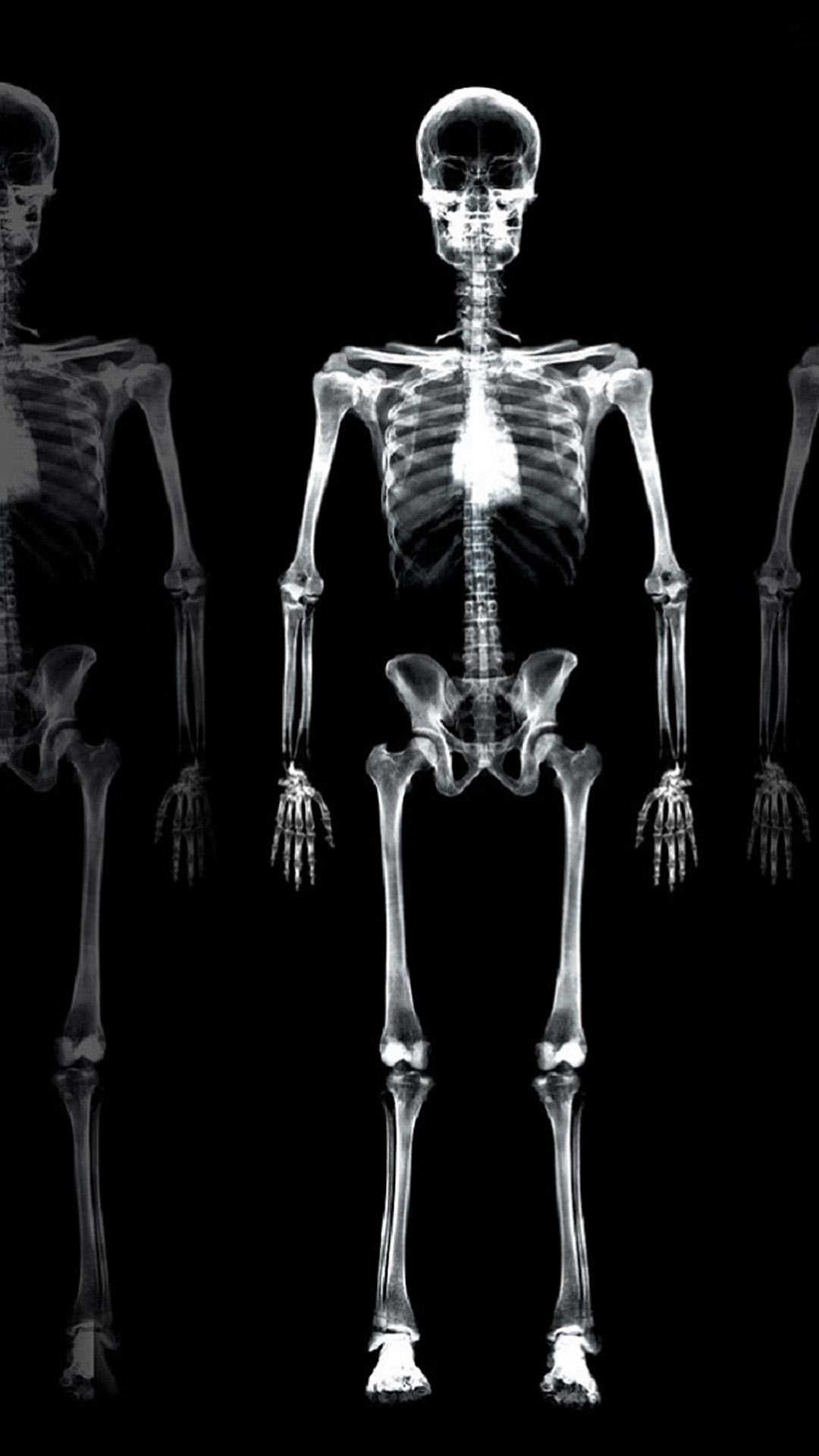 Skeleton Scan Android wallpaper