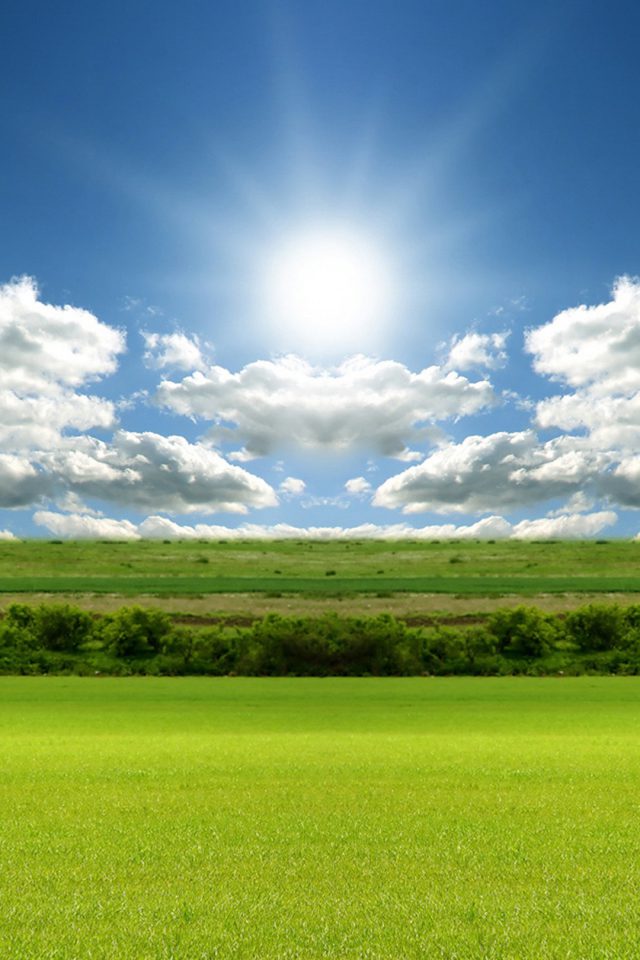 Grass Sun and Sky Android wallpaper