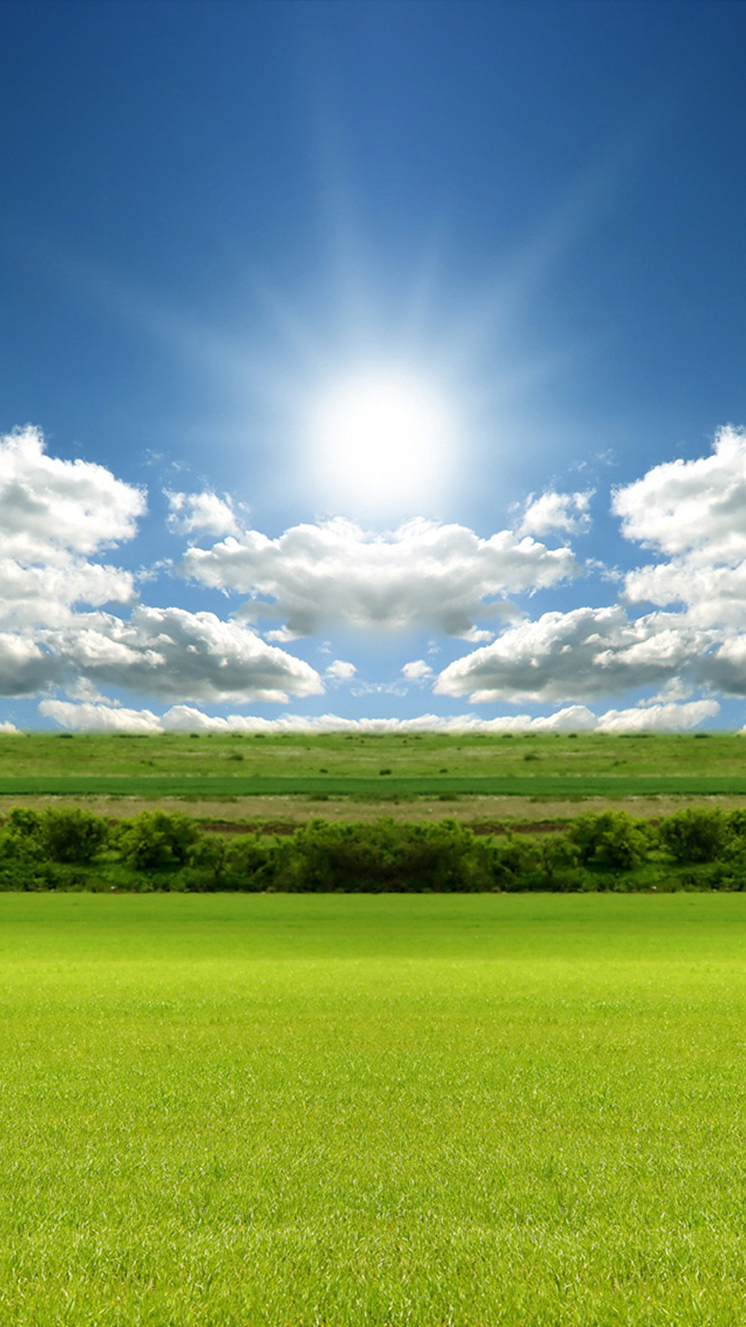 Grass Sun and Sky Android wallpaper - Android HD wallpapers