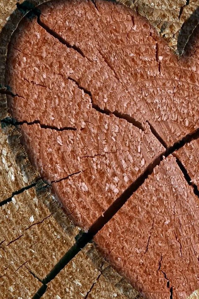 Heart Love Tree Wooden Android wallpaper