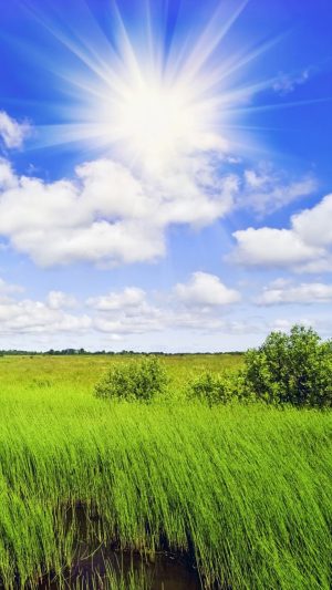 Sun And Sky And Landscape Android wallpaper