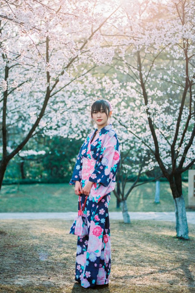 Japanese Girl in Kimono Sakura Android wallpaper