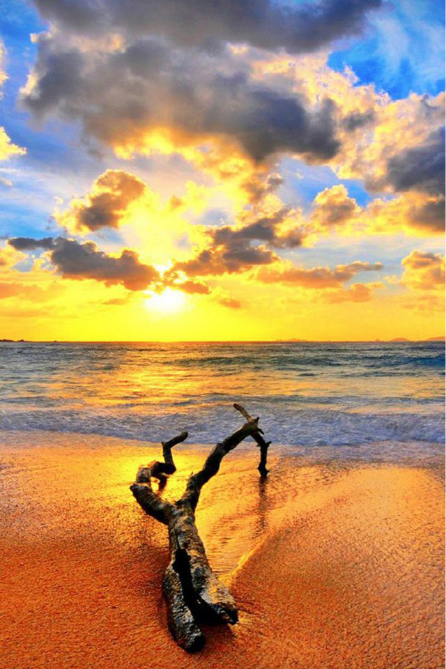Beach Branch Android wallpaper