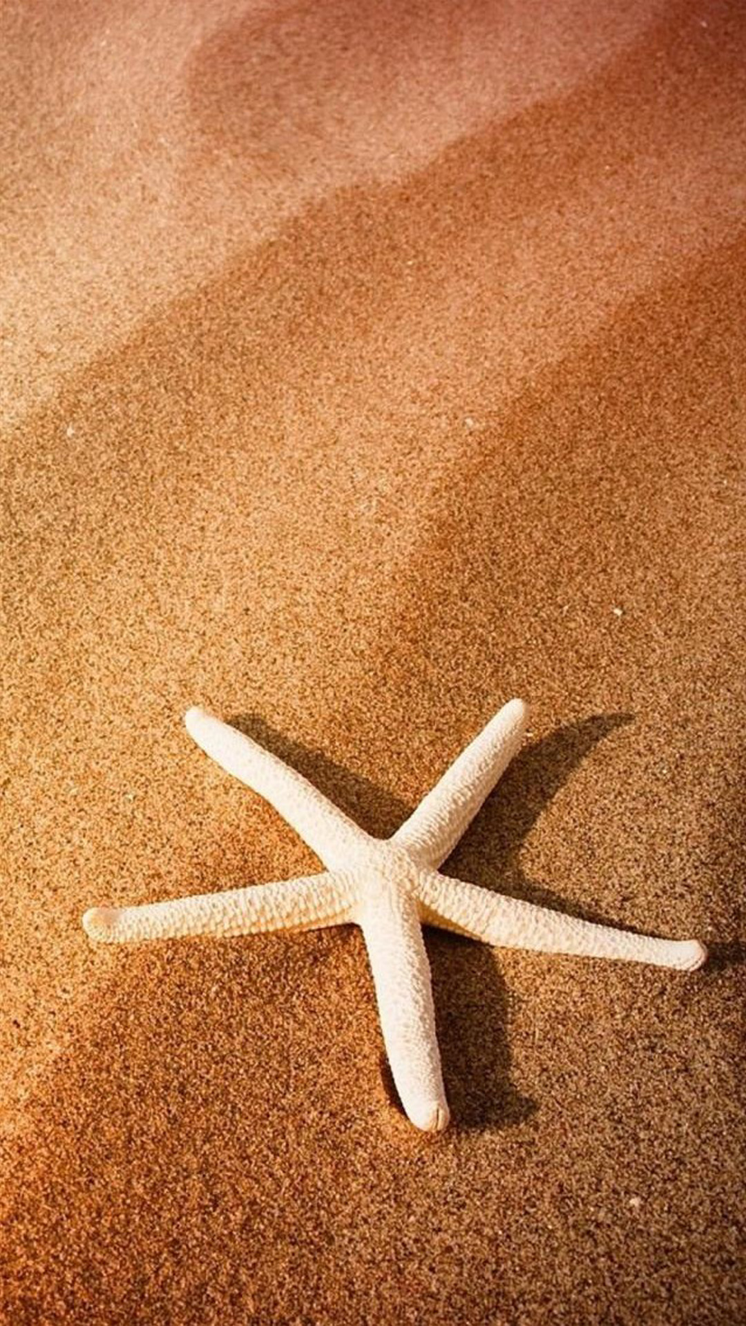 Beach Seastar Android wallpaper