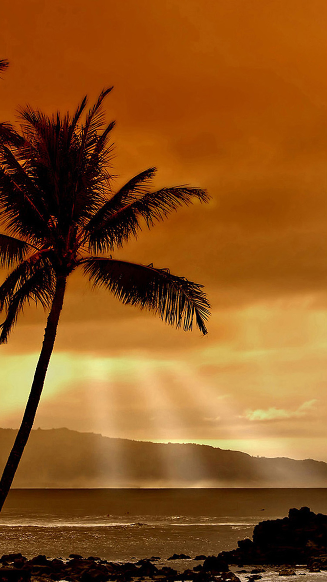 Beach Palm Trees Android wallpaper