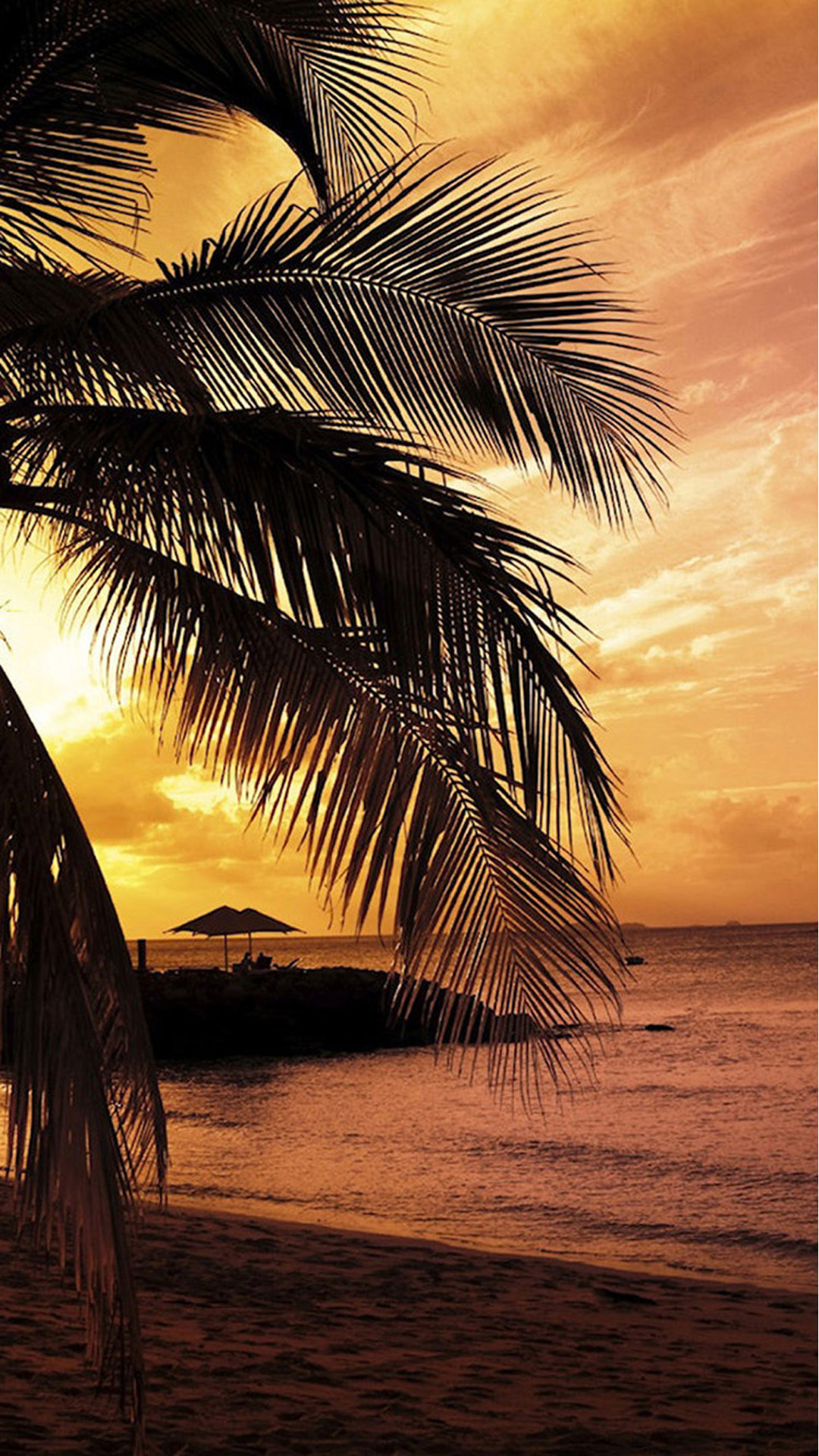Beach Palm Trees Android wallpaper