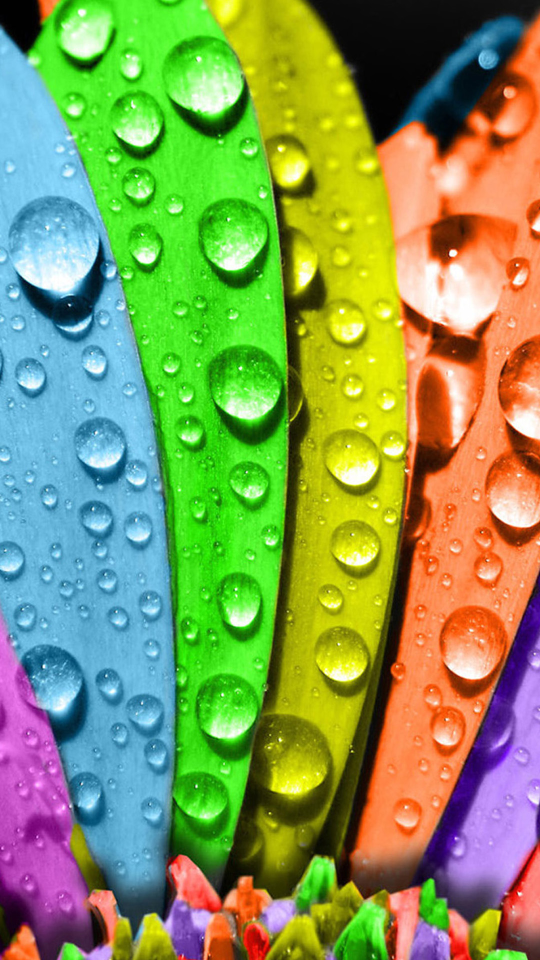 Colorful macro water drops Android wallpaper
