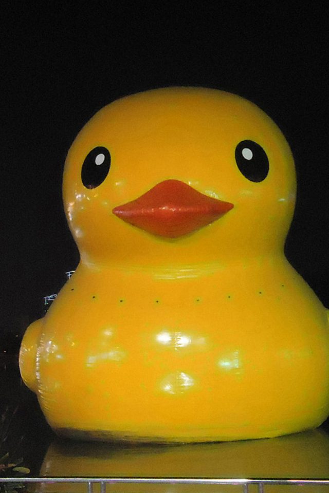 Yellow Duck Android wallpaper